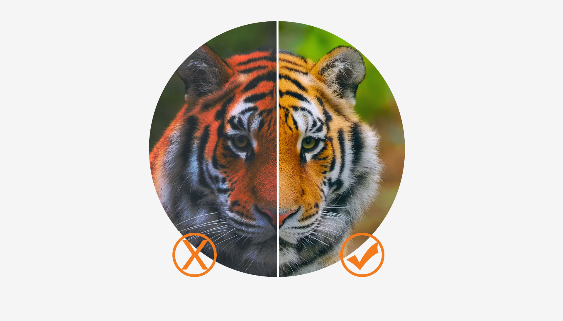 1774853643641586.jpg 双面屏_01.jpg